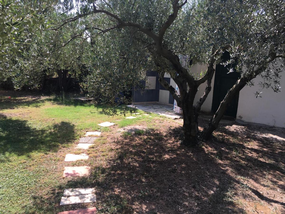 Villa Hrisavgi Nikiti  Dış mekan fotoğraf