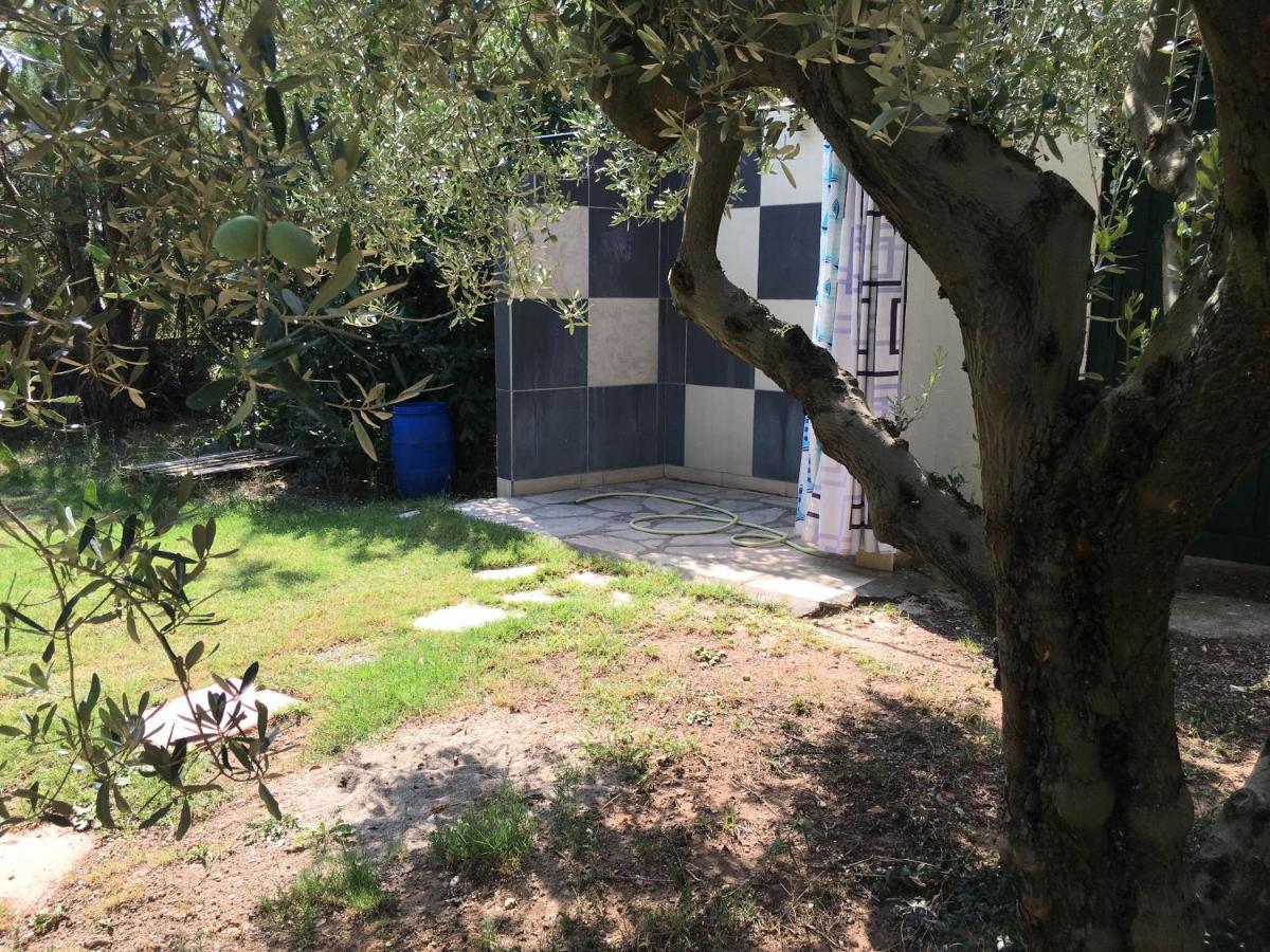 Villa Hrisavgi Nikiti  Dış mekan fotoğraf